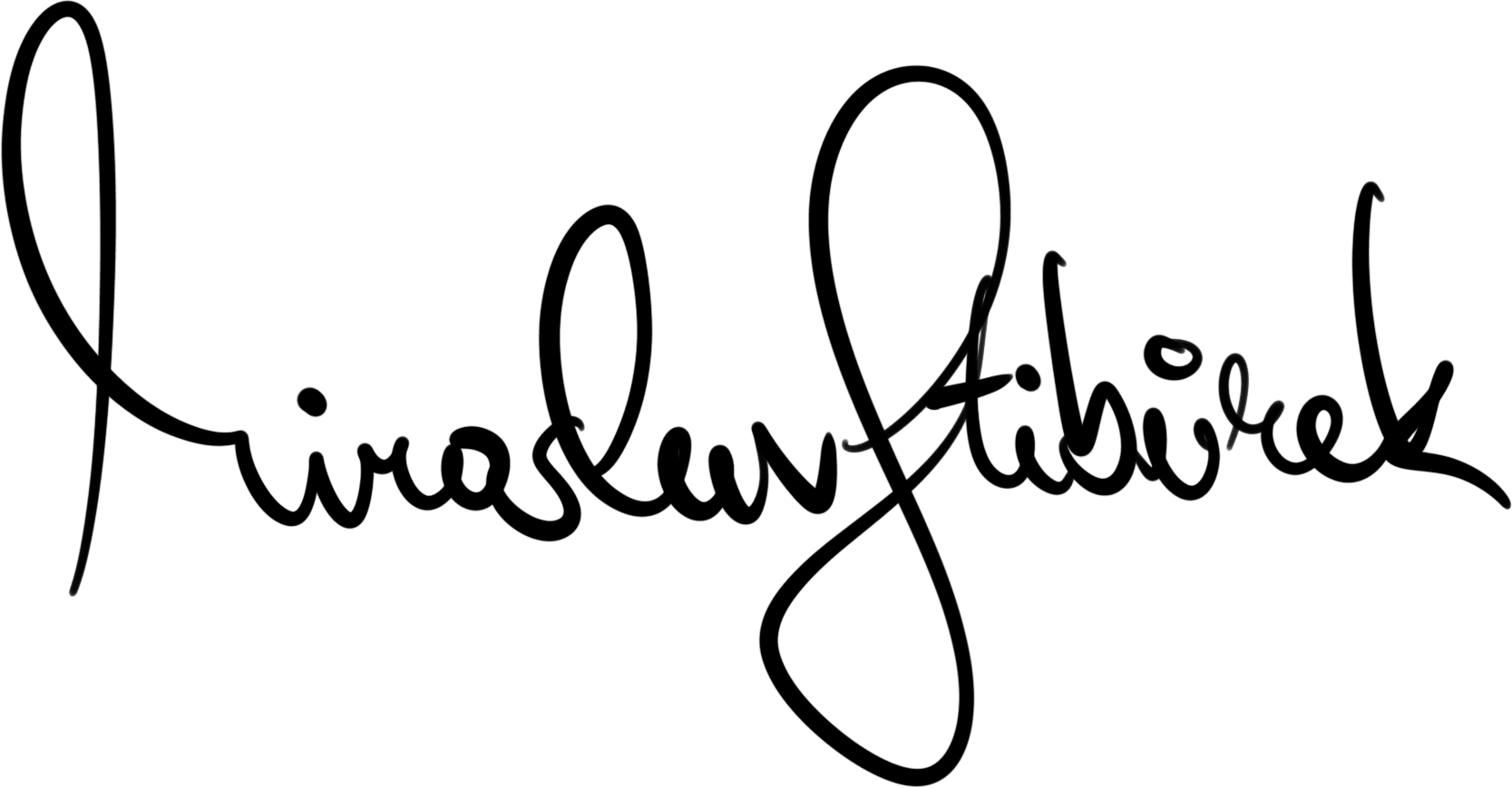 Biography 3 miroslav stiburek signature