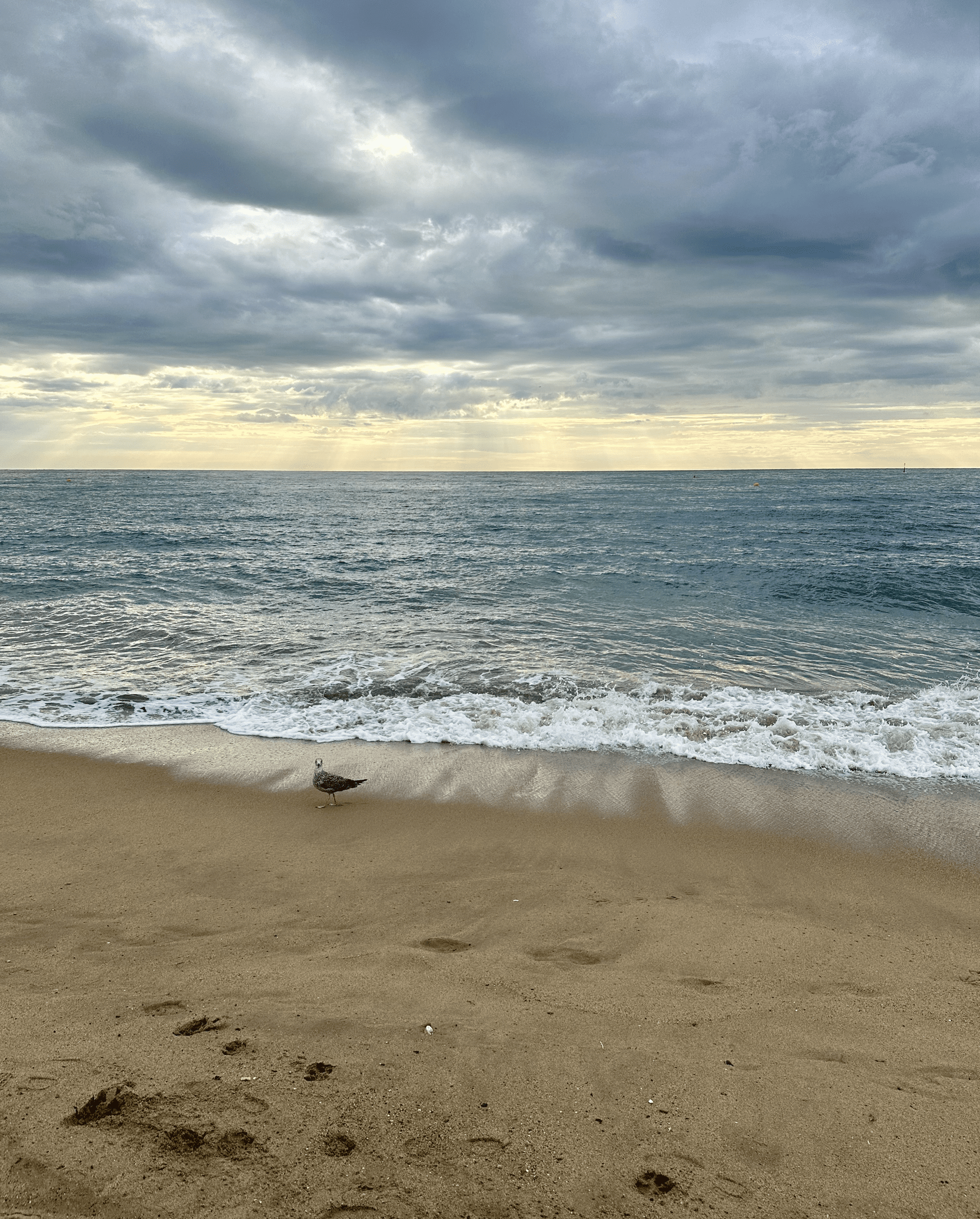 barcelona summer august